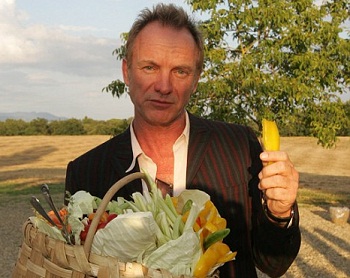 Sting: a saját bioboromat iszom