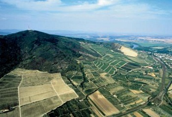 Tokaj: világörökségi iroda a fejlesztésekért Tokaj: világörökségi iroda a fejlesztésekért