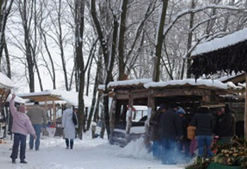 A káptalantóti Liliomkert Óbudára költözik A káptalantóti Liliomkert Óbudára költözik