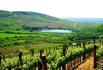 Tokaj, védelem alatt állsz! Tokaj, védelem alatt állsz!