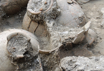 4000 éves borospincét találtak