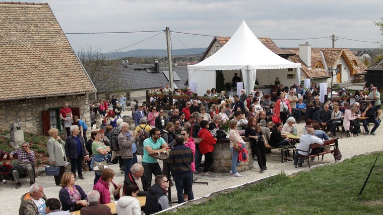 Látogatói rekord a Tavaszi Etyeki Pikniken