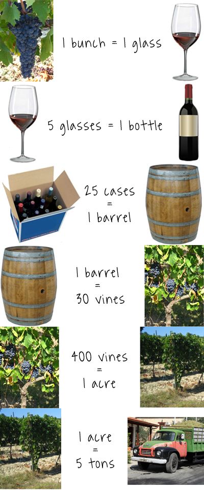 Hány fürt szőlőt iszol meg egy pohár borral?