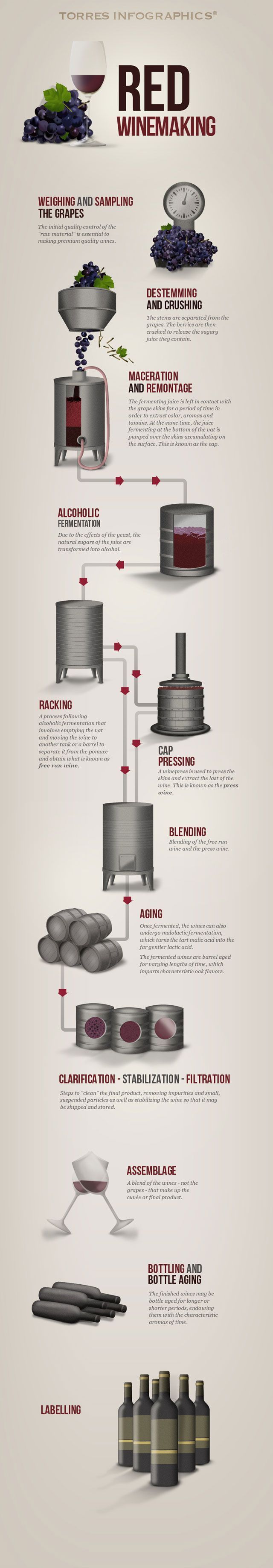 Őrületes infografika a vörösbor-készítésről