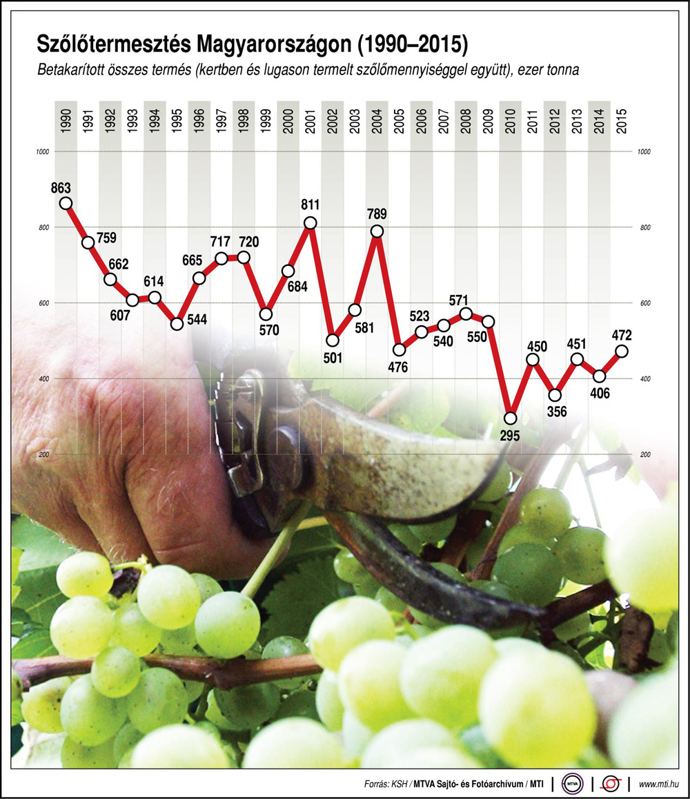 Így néz ki a magyar szőlőtermelés elmúlt 25 éve