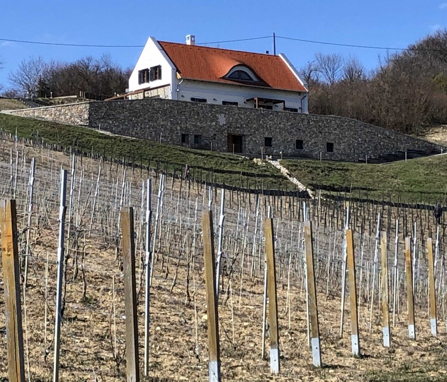 Borbora Borház