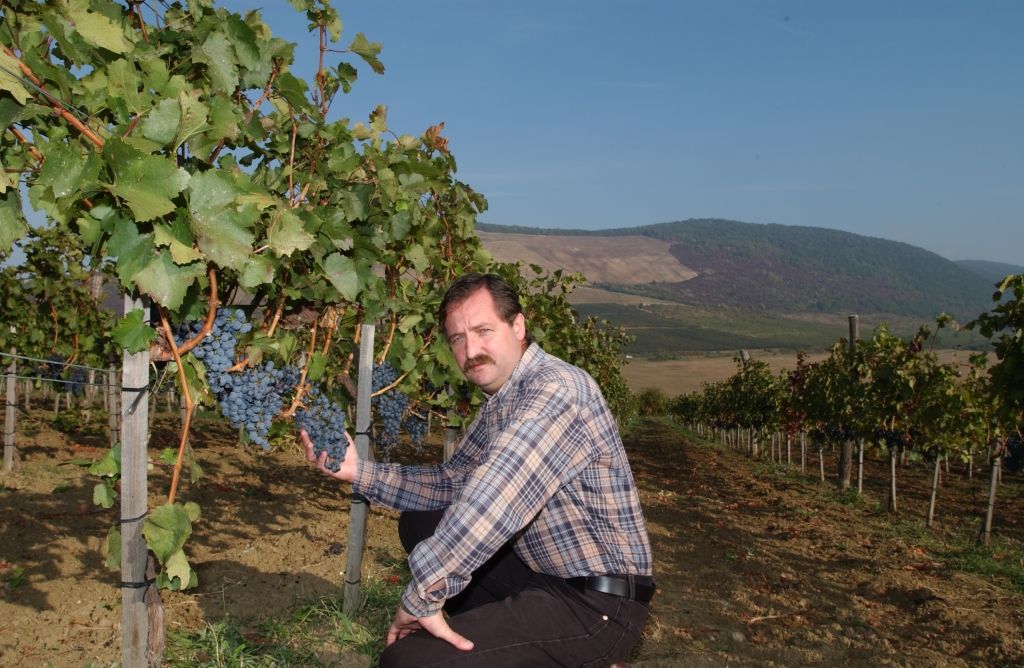 Gál Tibor pincészet