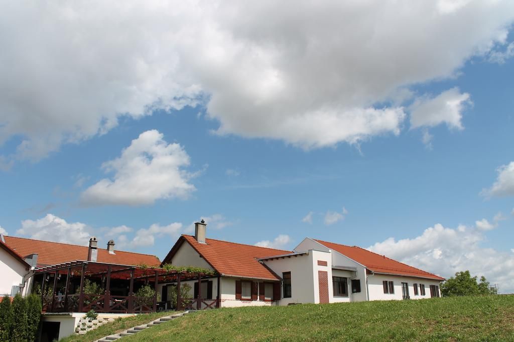 Tiffán’s pincészet