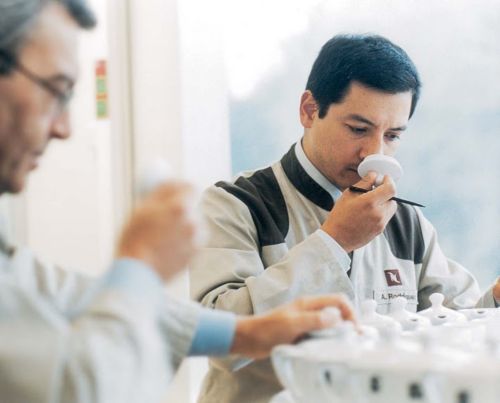 Ízlések és kávék: A kávé különböző aromavilágainak felfedezése