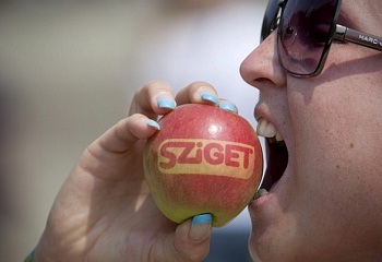 Mit kapunk egy ezresért a Szigeten?