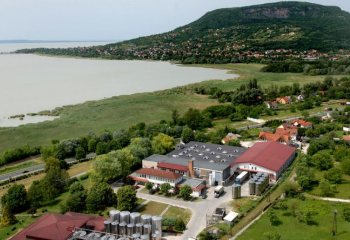 Palackozzák Európa első újborát