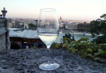 Borfeszt best of