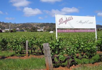 Ezer dolláros bort dob ki a Penfolds