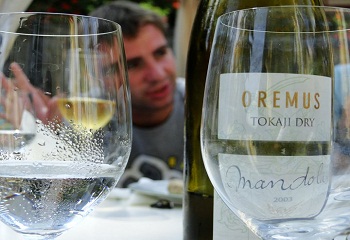Tokaj: az aszú nem elég vonzerő, kell a kultúra is