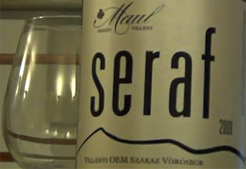 Maul Seraf, egy klasszikus boredaux-i, Villányból