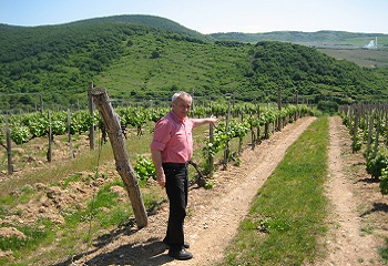 Tokaj nem jobb, nem rosszabb, egyszerűen több