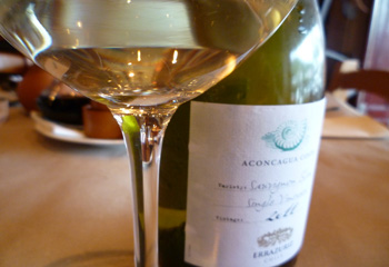 Sauvignon Blanc-t keresel? Chile válasza: Errazuriz, Aconcagua