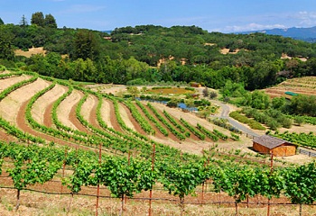 Tokaj és Sonoma testvérváros lesz