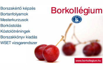 Akciós tanfolyamok a Borkollégiumban