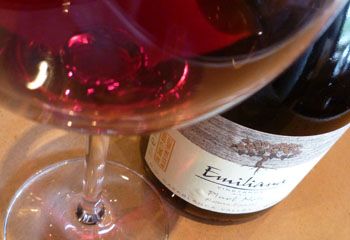 Pinot Noir Emiliana - elegáns bor Chile hűvösebb vidékéről