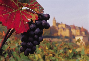 Egert és Tokajt méltatta a lengyel Wino magazin