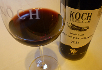 Koch Hajós-bajai Cabernet sauvignon - a jövő vörösbora?