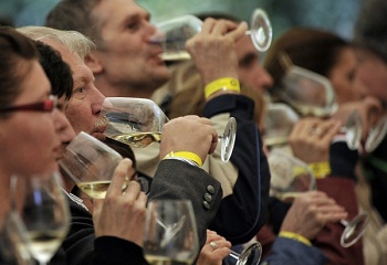 Új Guinness-rekord: Mosonmagyaróváron tartották a világ legnagyobb borkóstolóját