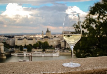 Egy nemzetközi borakadémikus metszete a 22. Budavári Borfesztiválról