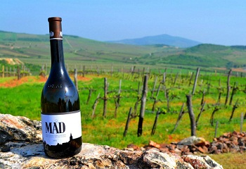 Bekerült a nemzetközi TOP 50-be a Mád Furmint 2012