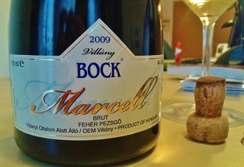 Bock Marcell 2009, soha rosszabb évkezdést!