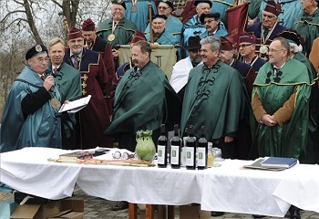 Bországgyűlés: bőséges lehet az idei szőlőtermés