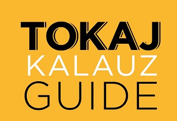 Itt a Tokaj Guide!