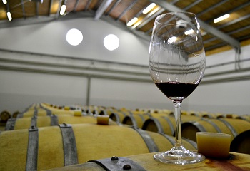 2,5 millió hektoliter bort készítettünk tavaly