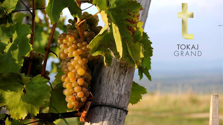 Felkerül a korona Tokaj fejére