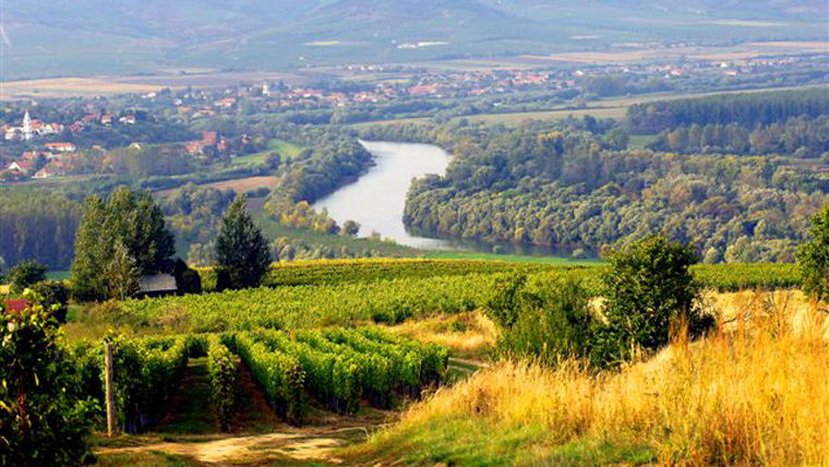 Tokaj: a kicsik és nagyok összefogása a siker kulcsa