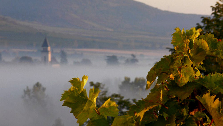 Kincsek a tokaji pincék mélyéről