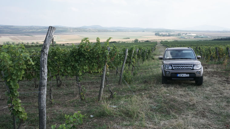 Végigjártuk Tokaj-Hegyalja legizgalmasabb túráit