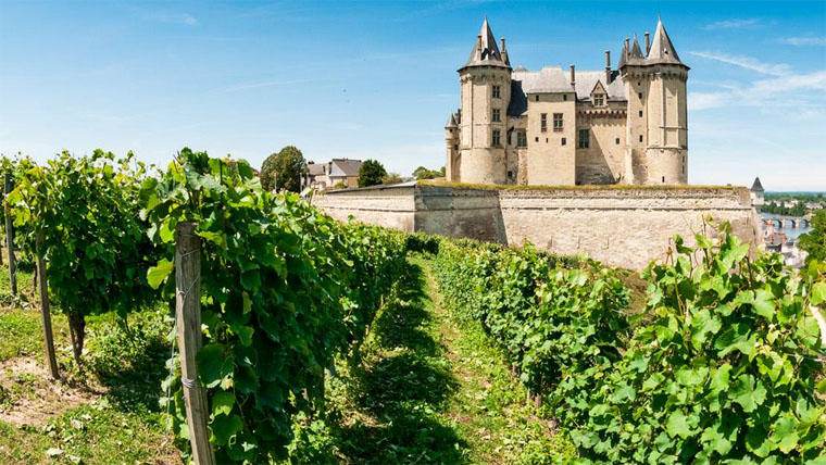 Loire, Loire te mindenem! - Borkollégium Loire völgy mesterkurzus