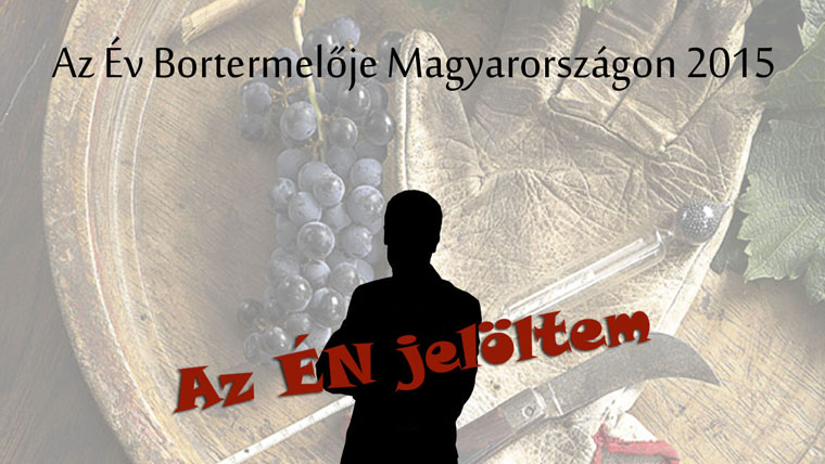 Az Év Bortermelője: itt az 5 név, akikre szavazhatsz!