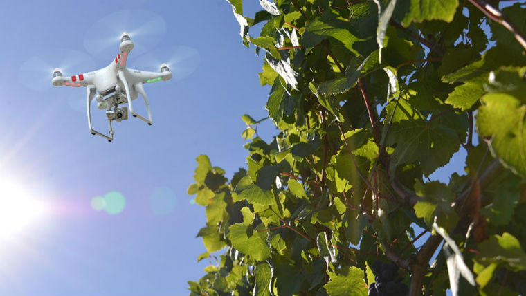 Növekszik a drónok szerepe a szőlészetben