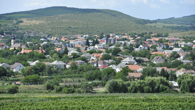 Alig ismert borvidékről indul a magyar bor export több mint egyharmada