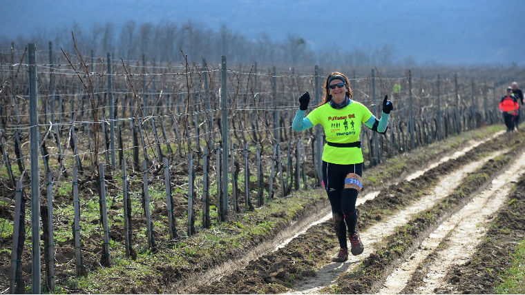 Maraton a szőlőtőkék között