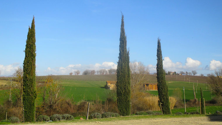 Sagrantino után kutattunk Umbriában