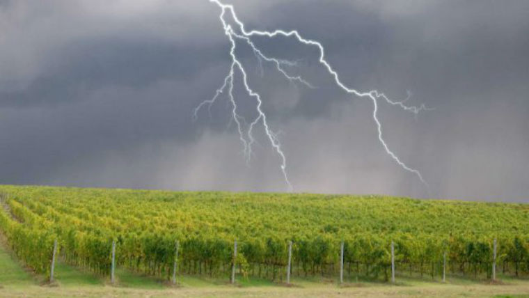 Újabb heves jégeső verte el Burgundia szőlőültetvényeit