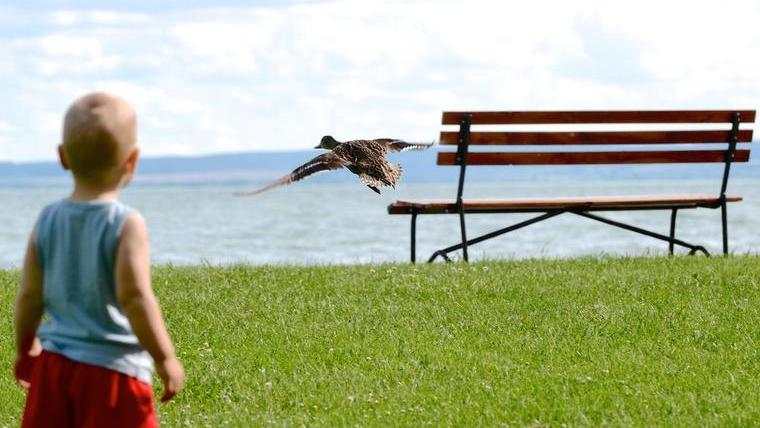 Előbb grillezünk a nyaralóban vagy eszünk a strandon, mint hogy beüljünk egy balatoni étterembe