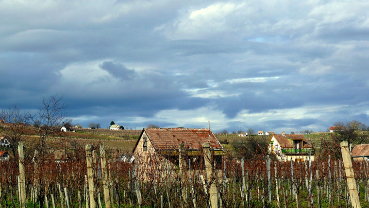 Villány ősszel is rádmosolyog