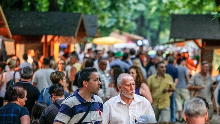 Hosszabb és színesebb a Vingardium Borliget