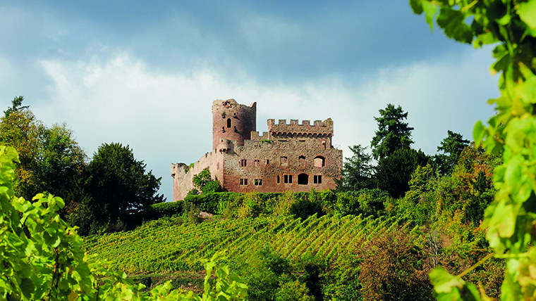 Európa legszebb borútjai #3: Elzászi borút