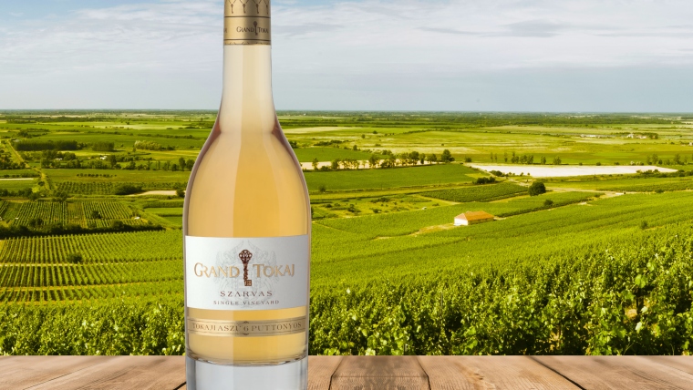 Minden napra egy aszú: Grand Tokaj, Szarvas Aszú 6 Puttonyos 2013