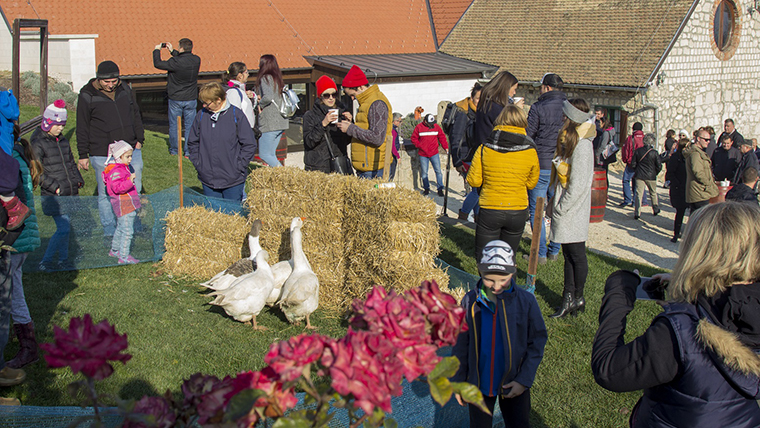 Libadalom Etyeken, a Gasztrosétányon